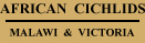 The Church of Jesus Christ of Latter-day Saints